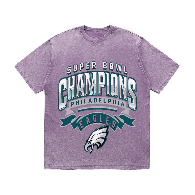 RDMCLOTHINGART tapestry hoodie EAGLES HEAVY WEIGHT COTTON TEE-8776