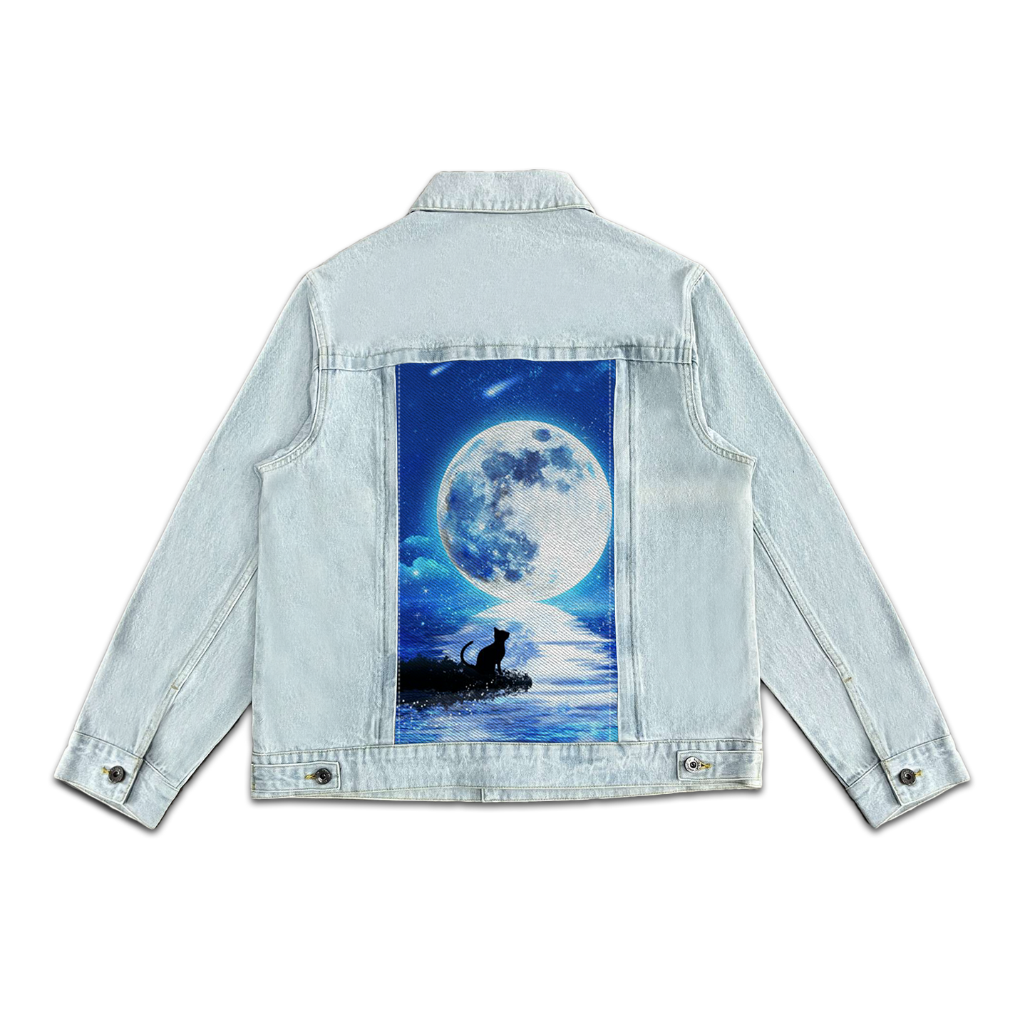 MOON CAT SWAP-6194