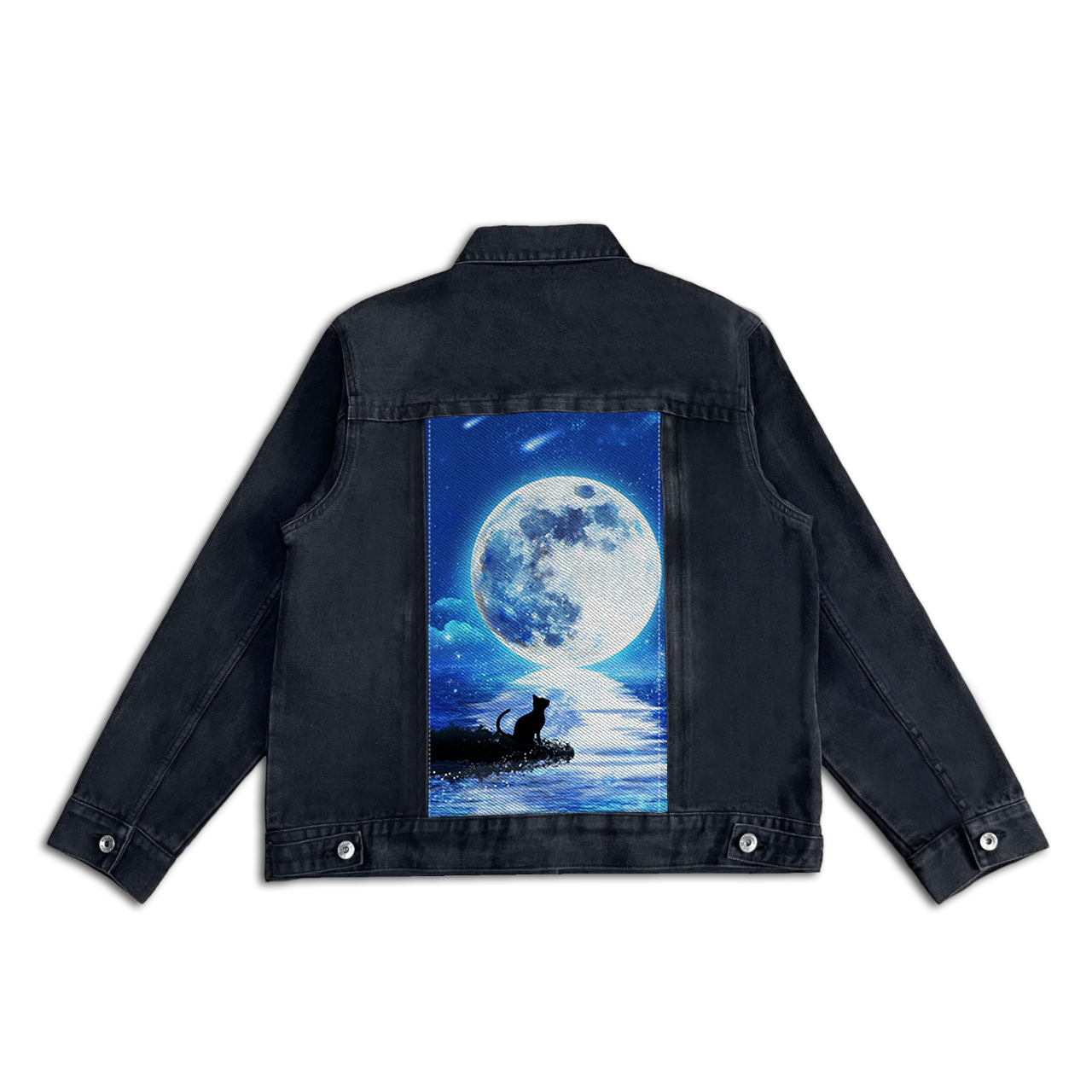 MOON CAT SWAP-6194
