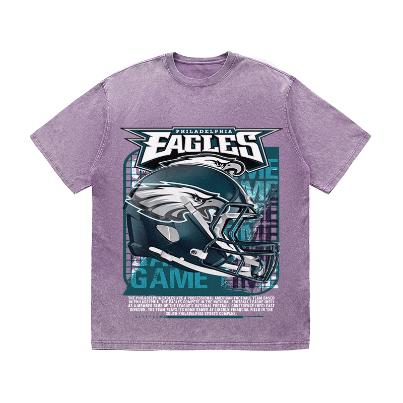 RDMCLOTHINGART tapestry hoodie EAGLES HEAVY WEIGHT COTTON TEE-8771