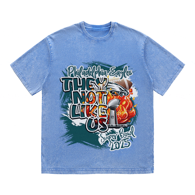 RDMCLOTHINGART tapestry hoodie EAGLES HEAVY WEIGHT COTTON TEE-8772