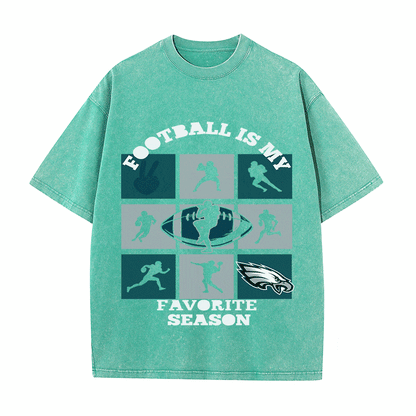 RDMCLOTHINGART tapestry hoodie EAGLES HEAVY WEIGHT COTTON TEE-8773