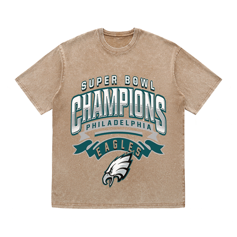 RDMCLOTHINGART tapestry hoodie EAGLES HEAVY WEIGHT COTTON TEE-8776