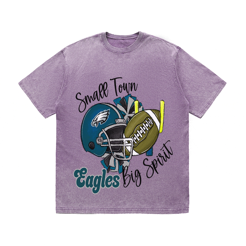 RDMCLOTHINGART tapestry hoodie EAGLES HEAVY WEIGHT COTTON TEE-8794