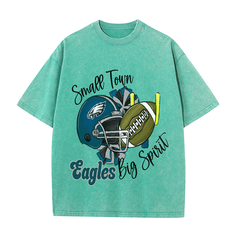 RDMCLOTHINGART tapestry hoodie EAGLES HEAVY WEIGHT COTTON TEE-8794