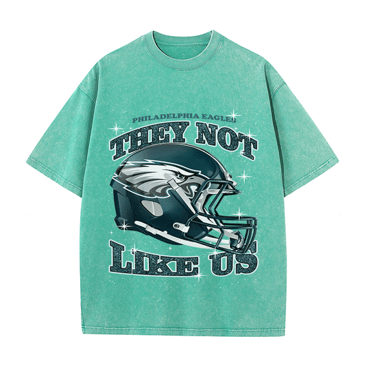 RDMCLOTHINGART tapestry hoodie EAGLES HEAVY WEIGHT COTTON TEE-8796