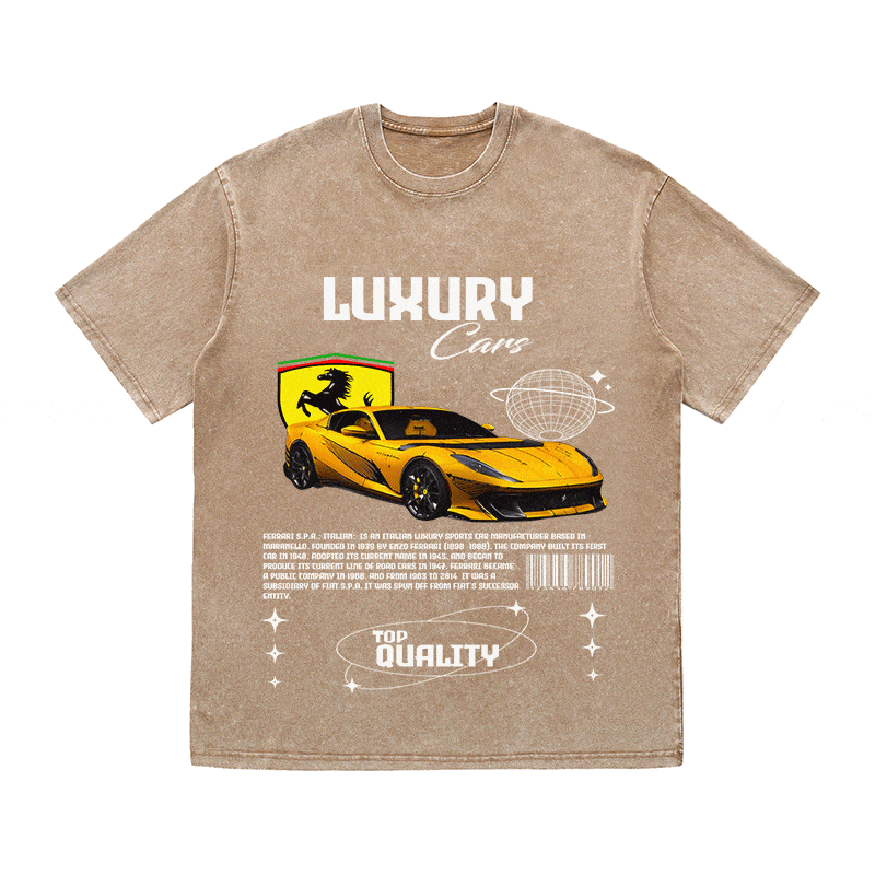 RDMCLOTHINGART tapestry hoodie FERRARI HEAVY WEIGHT COTTON TEE-9095