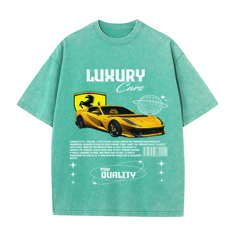 RDMCLOTHINGART tapestry hoodie FERRARI HEAVY WEIGHT COTTON TEE-9095