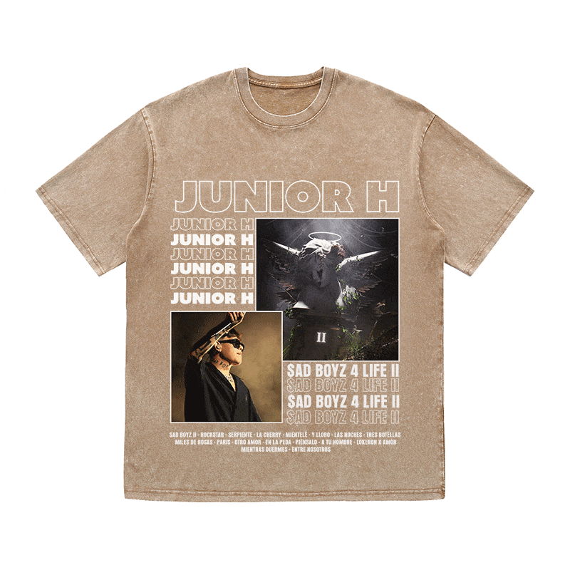 RDMCLOTHINGART tapestry hoodie JUNIOR HEAVY WEIGHT COTTON TEE-9001