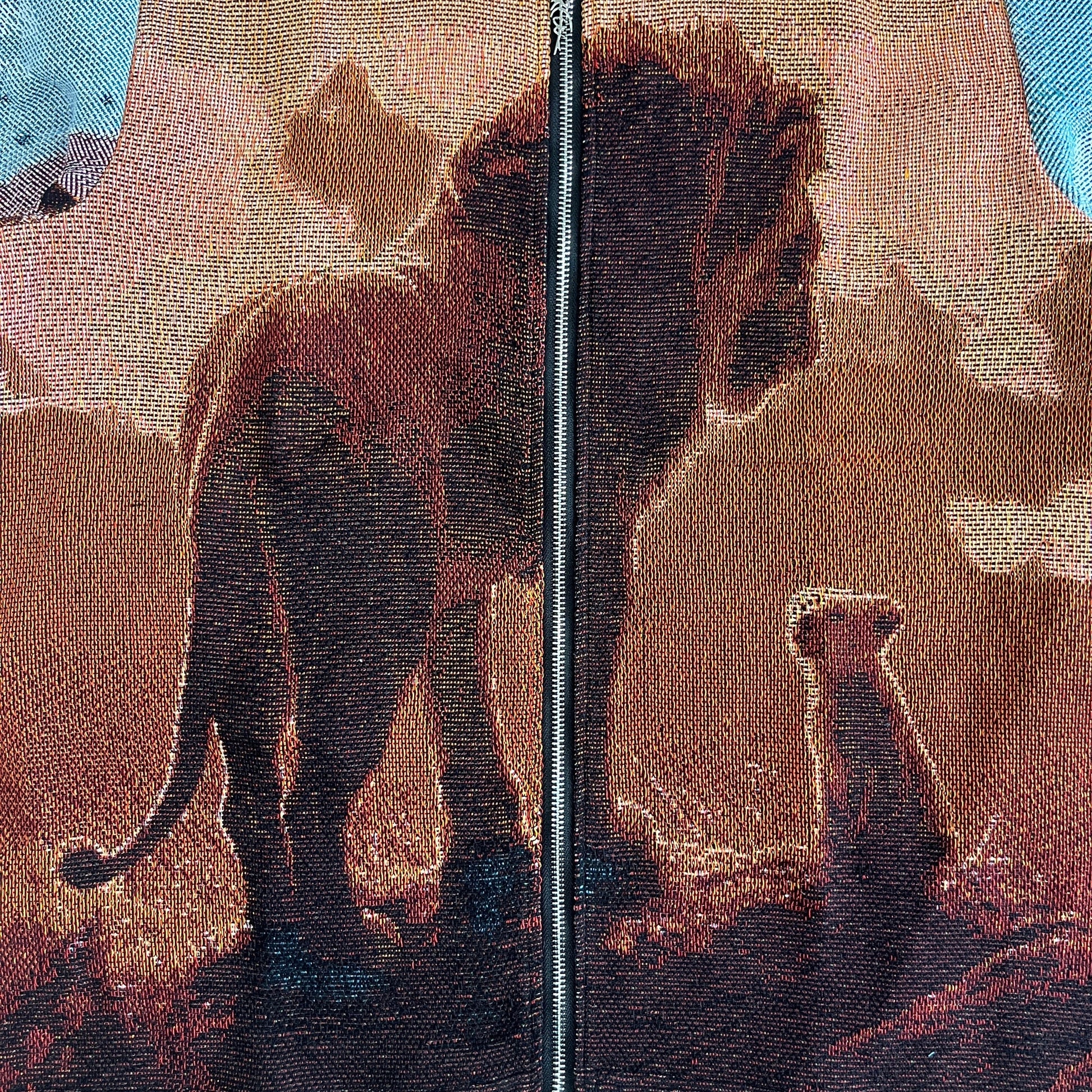 RDMCLOTHINGART tapestry hoodie LION KING TAPESTRY JACKET