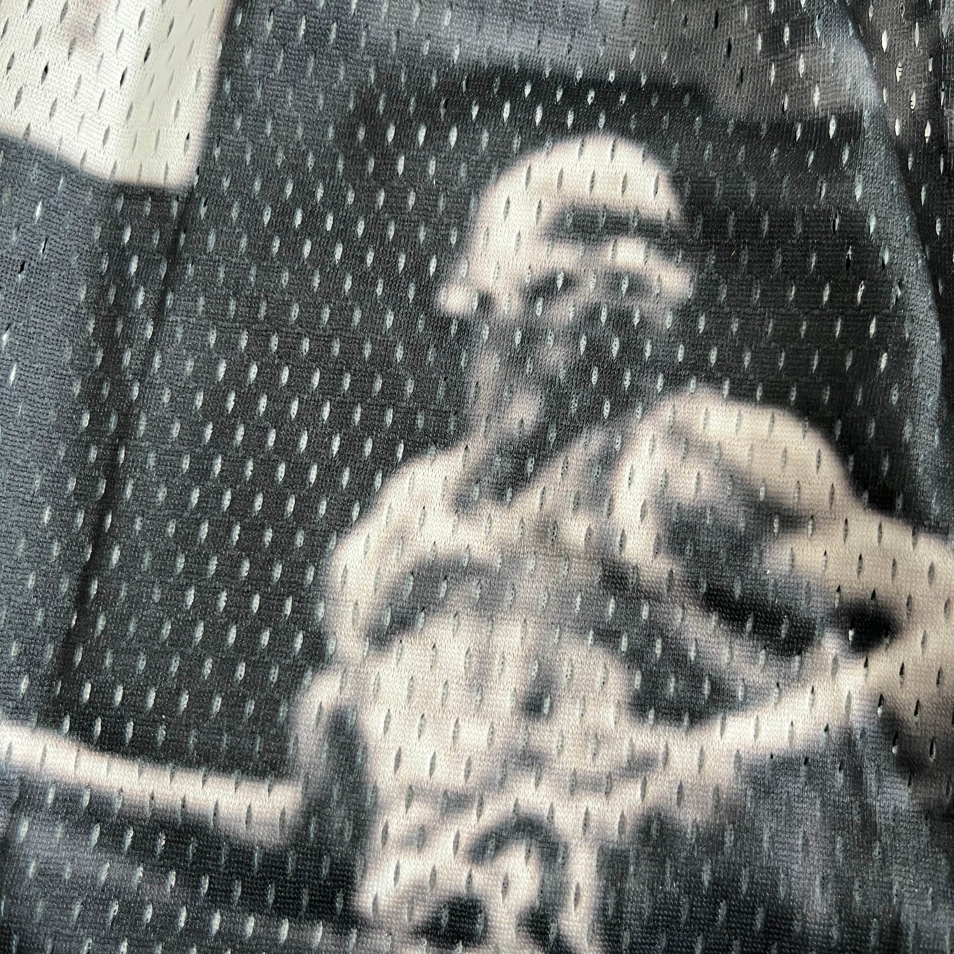 RDMCLOTHINGART tapestry hoodie MJ FLY MESH SHORTS-8601