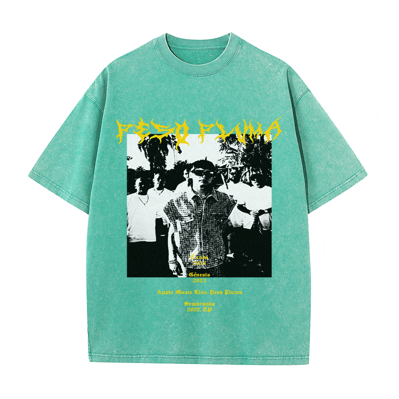 RDMCLOTHINGART tapestry hoodie PESO PLUMA HEAVY WEIGHT COTTON TEE-8914