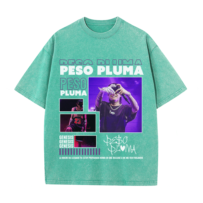 RDMCLOTHINGART tapestry hoodie PESP PLUMA HEAVY WEIGHT COTTON TEE-9015