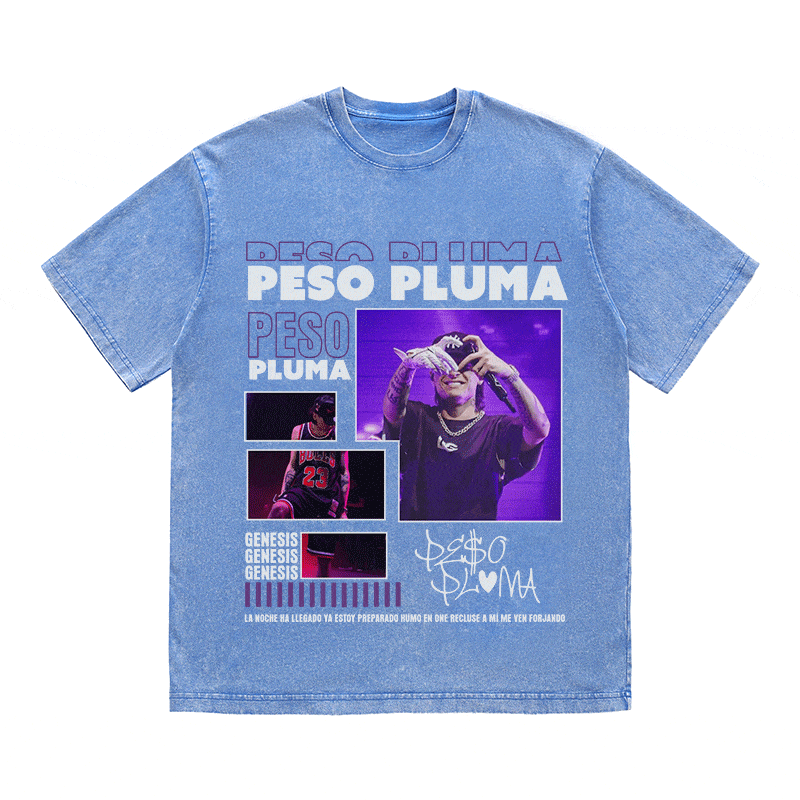 RDMCLOTHINGART tapestry hoodie PESP PLUMA HEAVY WEIGHT COTTON TEE-9015