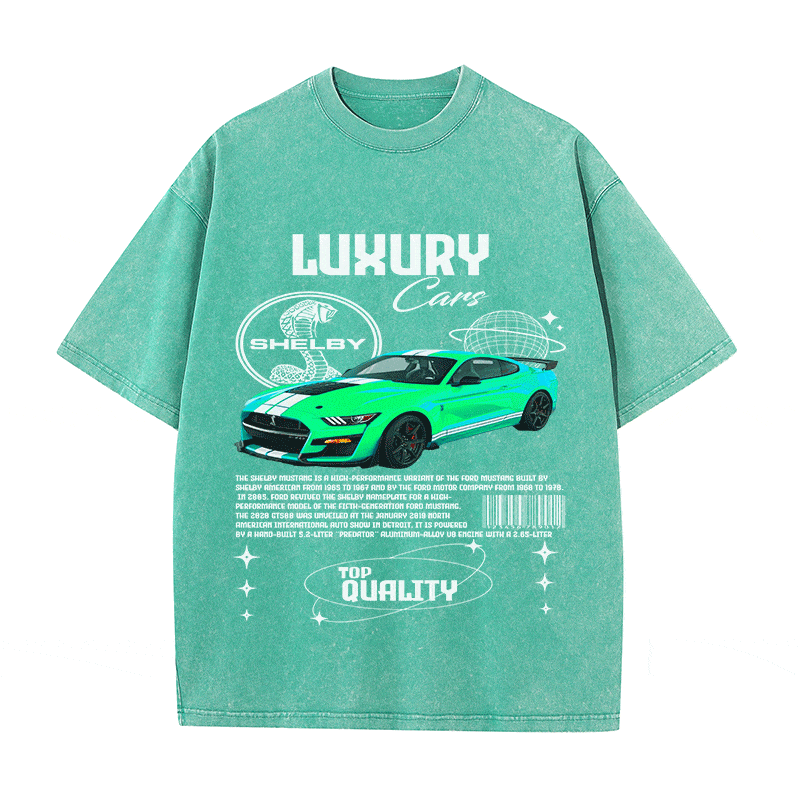 RDMCLOTHINGART tapestry hoodie SHELBY HEAVY WEIGHT COTTON TEE-9112