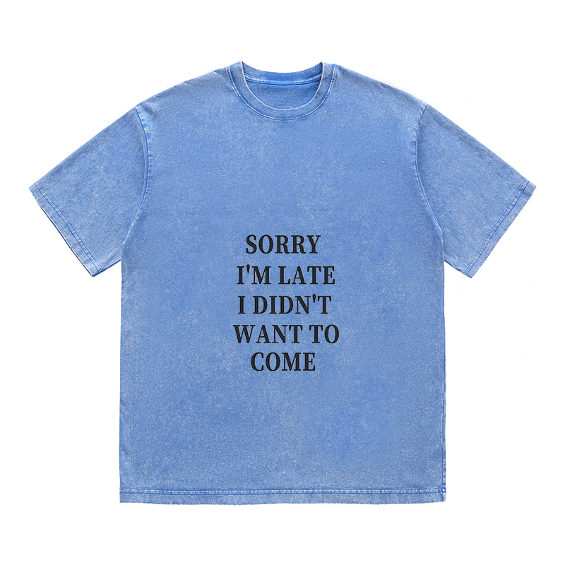 RDMCLOTHINGART tapestry hoodie SLOGAN HEAVY COTTON TEES-9670